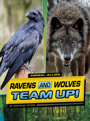 cover image of Ravens and Wolves Team Up!